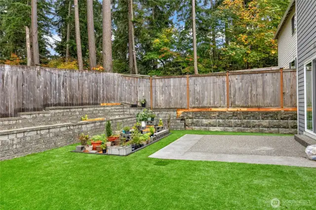 Backyard eating area