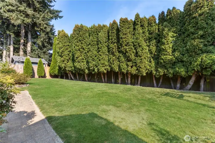 Very private, spacious backyard