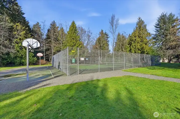 Neighborhood Sports Court