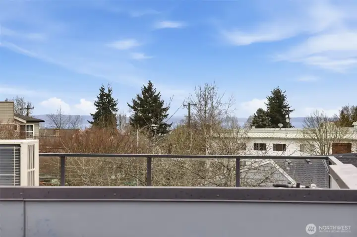 Spacious rooftop deck for entertaining, with gas grill (that stays!) connected to the home gas line; Trex decking, and a view of Seattle skyline and the Great Wheel.