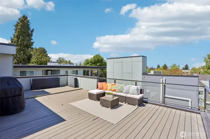 Spacious rooftop deck for entertaining, with gas grill (that stays!) connected to the home gas line; Trex decking, and a view of Seattle skyline and the Great Wheel.