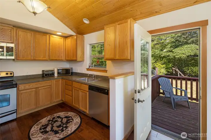 Modern kitchen with convenient access to back deck and dog run...