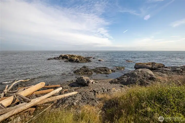Watch passing Orcas with your morning coffee...