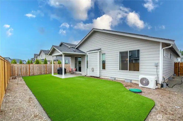 Low maintenance yard