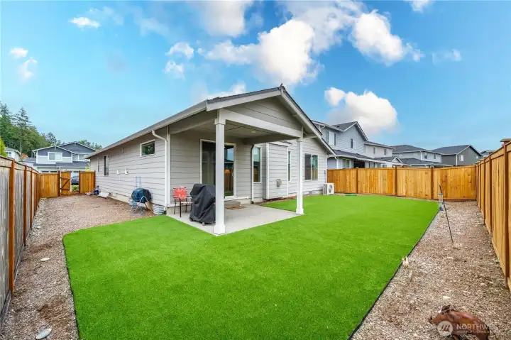 Low maintenance yard
