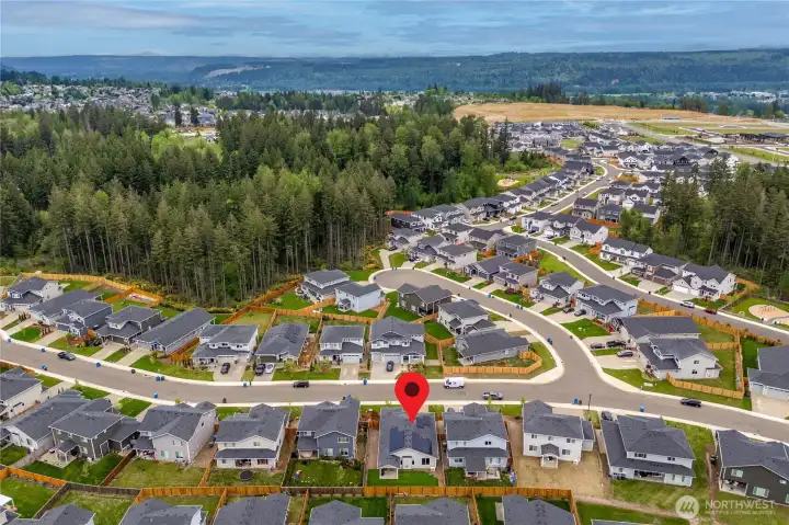 Pines neighborhood