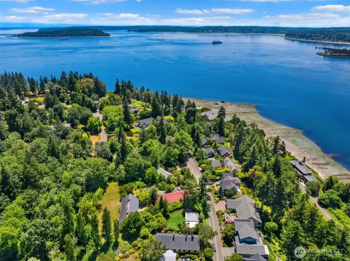 bird's eye view