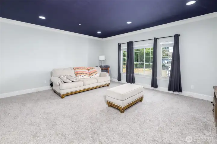 Media room/Bonus room