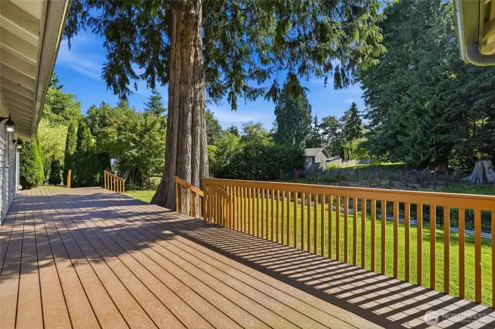 Step outside to your own private backyard oasis surrounded by nature. Step outside to your own private backyard oasis surrounded by nature.