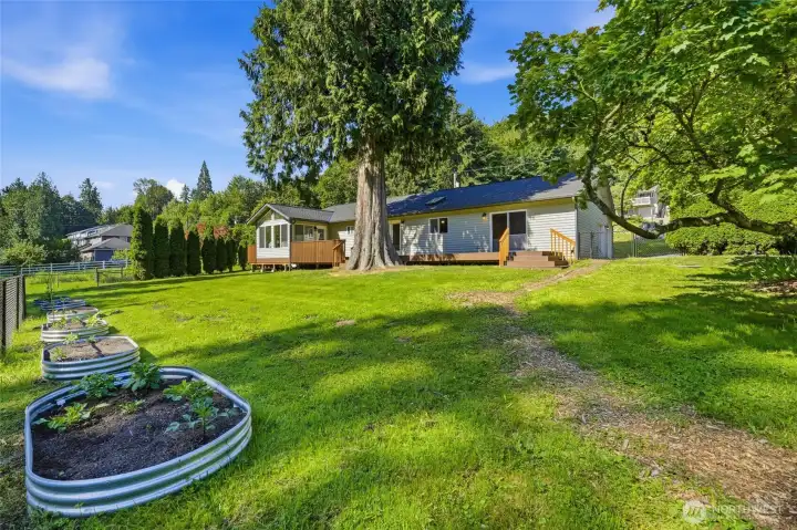 A delightful blueberry garden adds charm and seasonal enjoyment. A delightful blueberry garden adds charm and seasonal enjoyment.