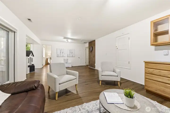 Basement Living Room