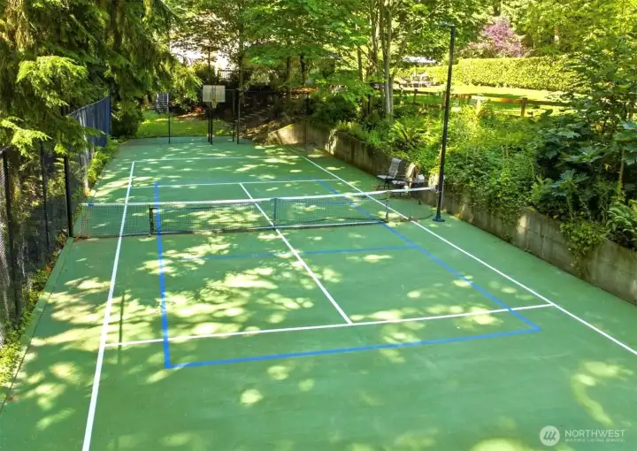 Large Sports Court