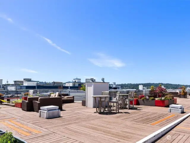 Huge rooftop deck with views for miles!