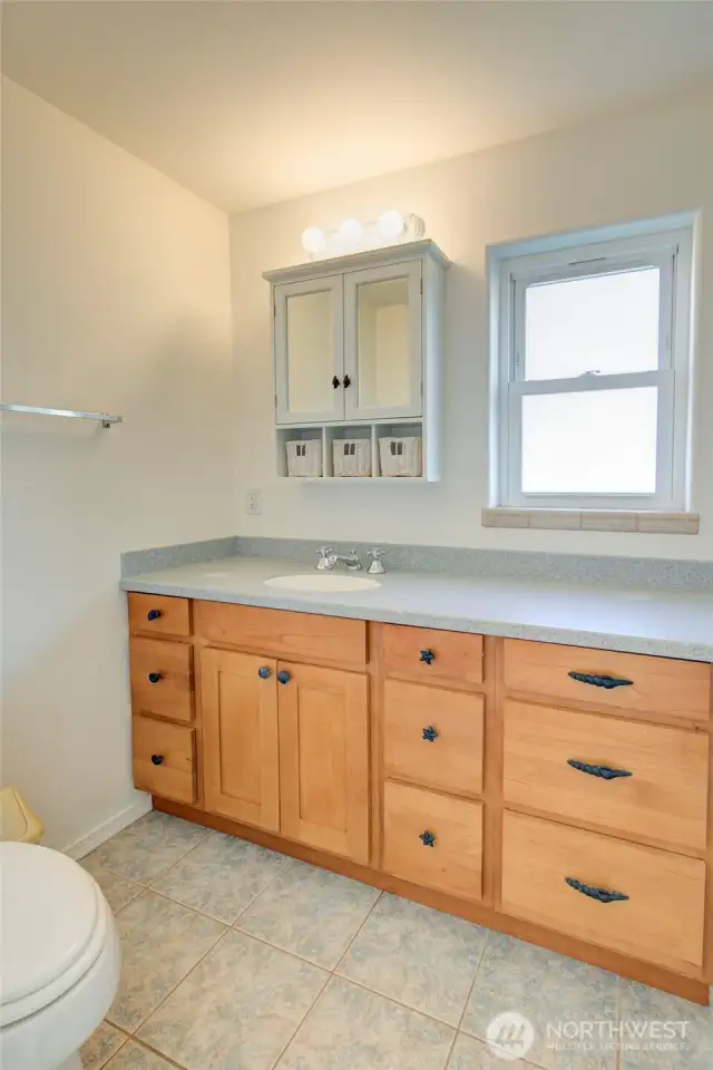 Top floor hall/guest bath...