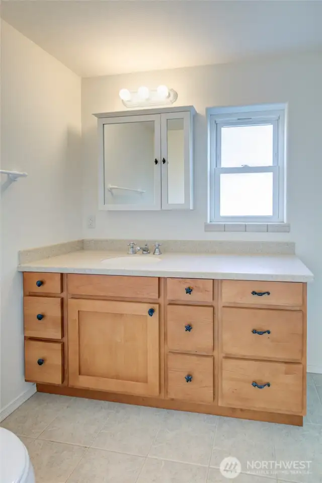 The lower level guest bath...
