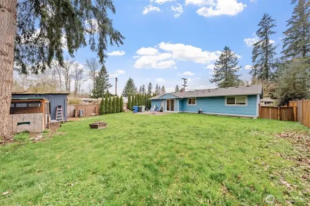 Large back yard