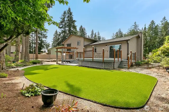 Turf in backyard
