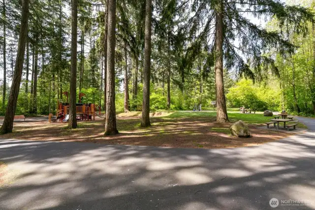 Maplewood park