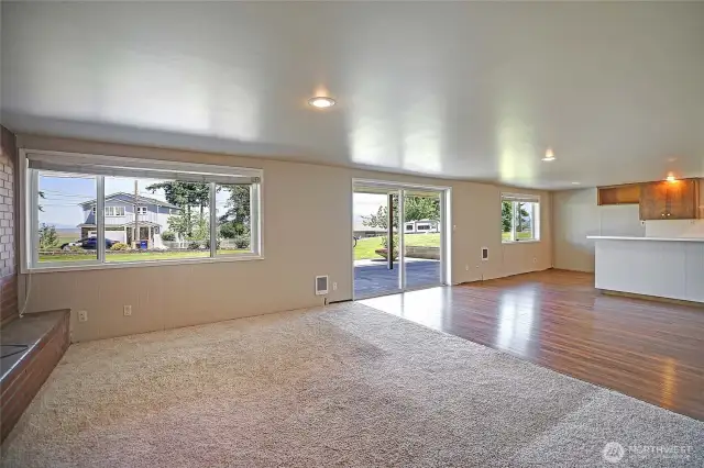 Lower level living/2nd kitchen