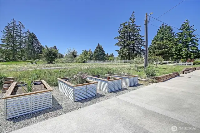 Raised beds & fruit trees.