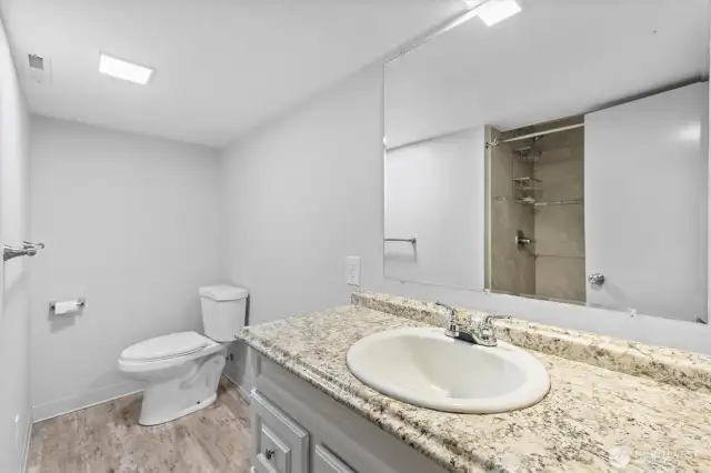 Lower Level 3/4 Bathroom