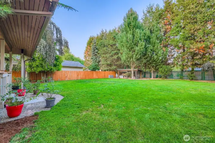 The flat back yard. Volleyball? Bocce Ball? Irrigation already installed!