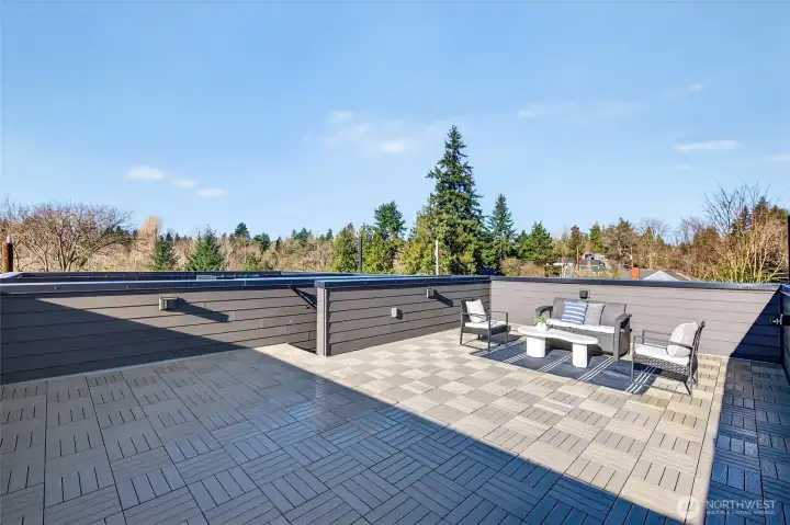 Don't let those low winter sun shadows fool you, plenty of sun and views on your roof oasis.