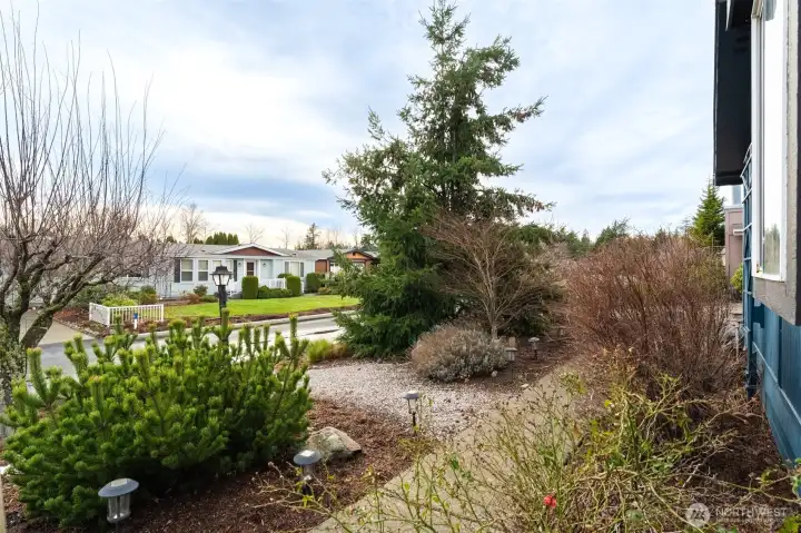 Beautifully landscaped front yard with evergreens and perennials.