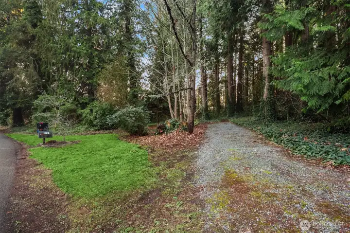 Homes additional cross street lot with room for a workshop, additional parking, or boat/RV storage. This homes shared well head is on this lot.