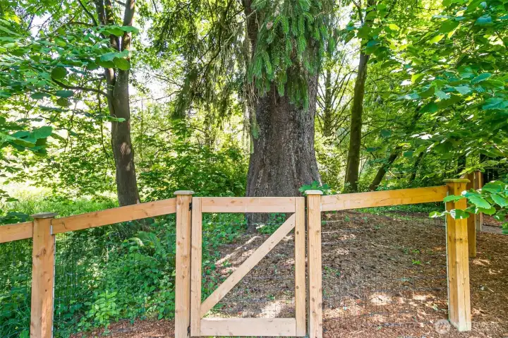 Property goes about 10 ft past the gate. There is a seasonal creek on the adjacent property.