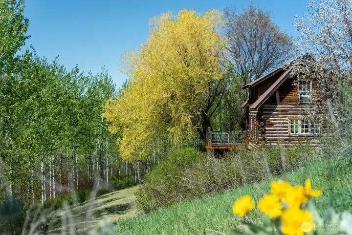 Homesteader's dream!  35 + Acres of Wildflower meadows, fruit trees, Aspens along 1600 ft of creekfront.
