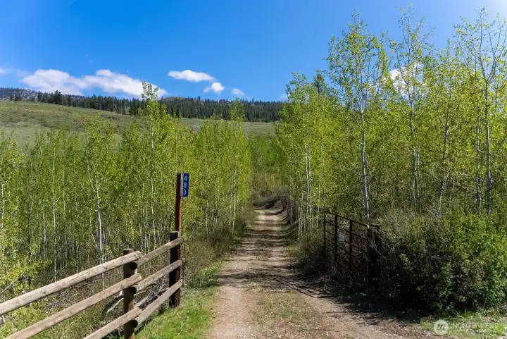 Driveway to Cabin at gate entry.