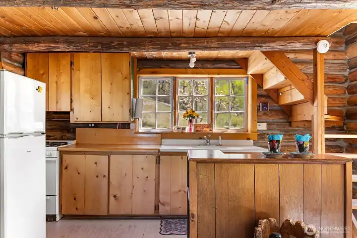 Movable Island offers storage and Kitchen workspace. Painted wood floor.