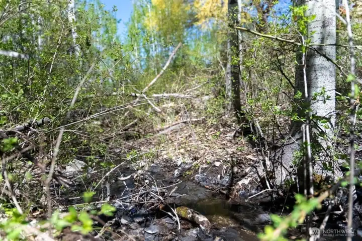 1600 ft creekfront through this 35 Acres.