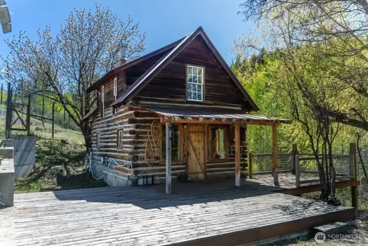 Heirloom Cherry and apple trees around cabin