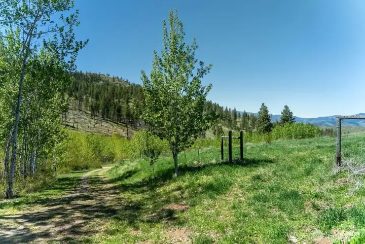 Driveway to entry to South meadow