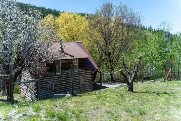 Heirloom apple tree and Cherry tree around cabin.