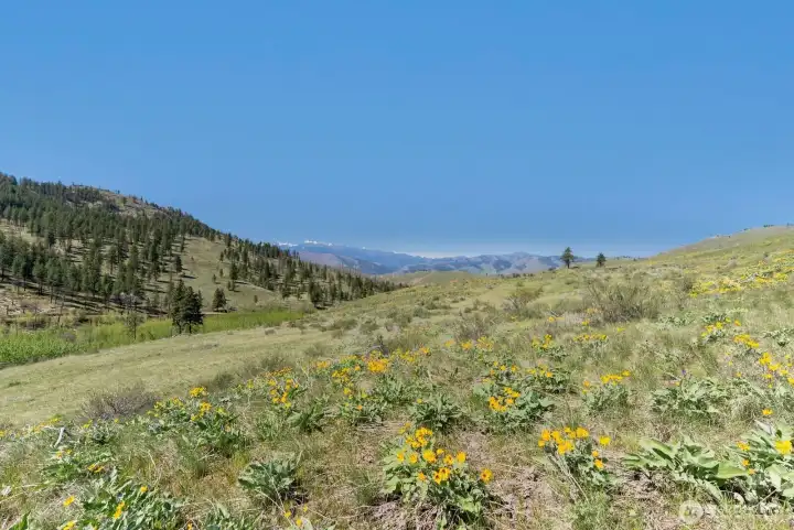 Great future building site on top of meadow. Excellent mountain views. Good exposure.