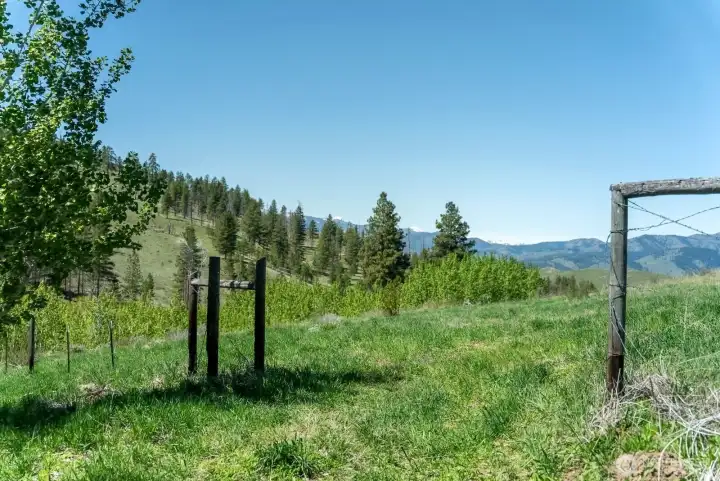 Horse country loves open meadow for horse pasture. Ride out from this property to enjoy thousands of acres to explore. Property has 3 sides of bordering State land.
