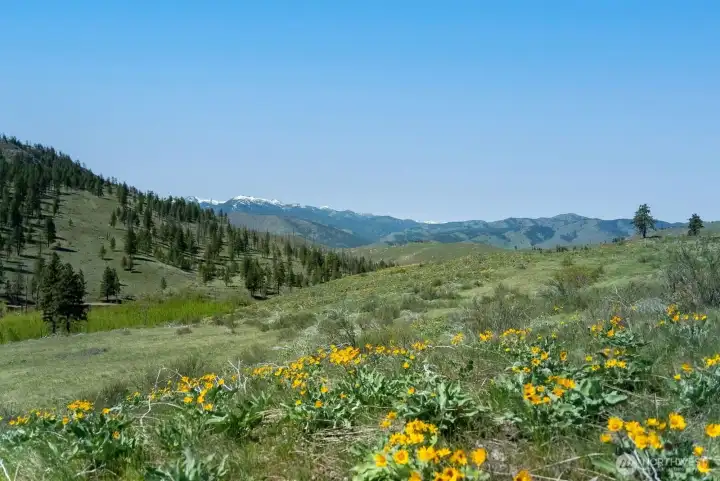 Dancing and a serenade of the outdoor lifestyle may be inspired here!