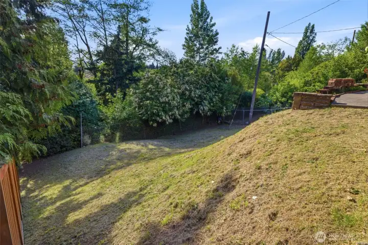 Large grass area on western side of lot.