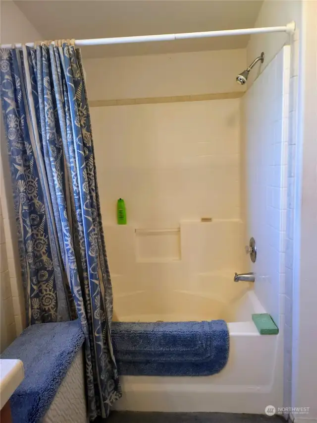 Master tub/shower