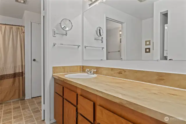 Lots of storage and counter space in the bath.  There is a linen closet in the full bath.