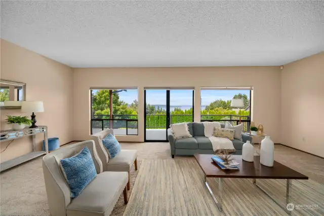 This shot shows the full wall of windows in the fireside living room.