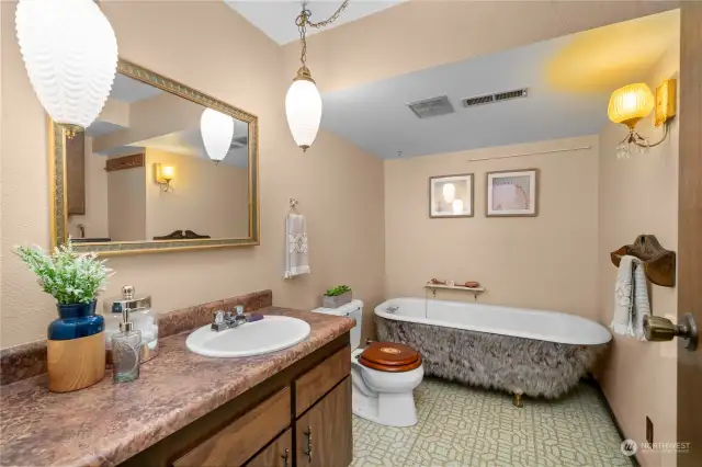 The lower level bath tub is ready for your own ideas!  Strip the cast iron tub from it's fur cover, then sand and paint it for your own new creative look.  The washer and dryer are also located here.