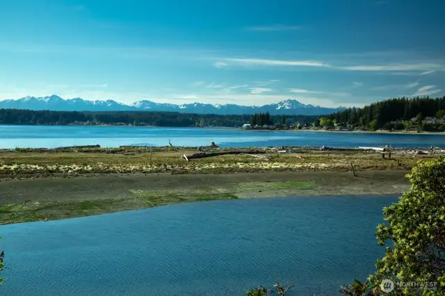 Grand panorama where the lush green of the Pacific Northwest forestry converges with the serene blues of the tranquil waters.
