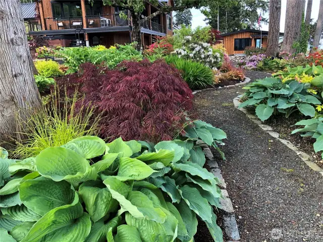 Embrace the farm-to-table lifestyle in your own backyard with beautifully constructed raised garden beds, set against the stunning backdrop of the Puget Sound. This verdant oasis provides not only a practical solution for growing your own herbs, vegetables, and flowers but also serves as a tranquil retreat where the soothing sights and sounds of the waterfront can be enjoyed.