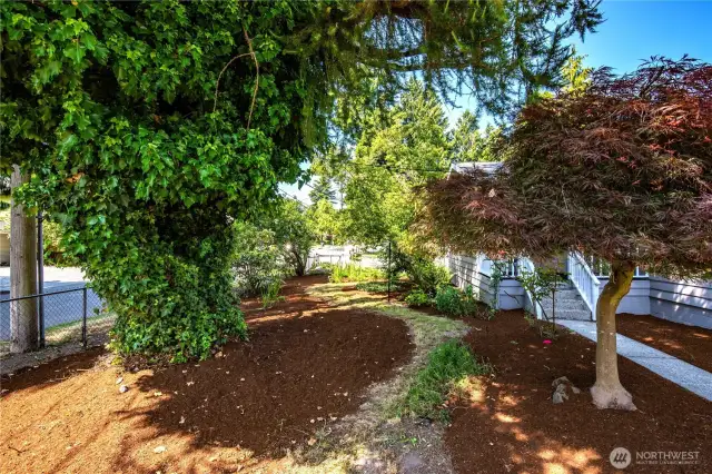 The front yard offers more views of mature trees and bushes, and has recently been refreshed with bark.