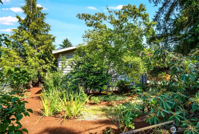 This view of the front yard from the street shows off the green thumb of the property owner.