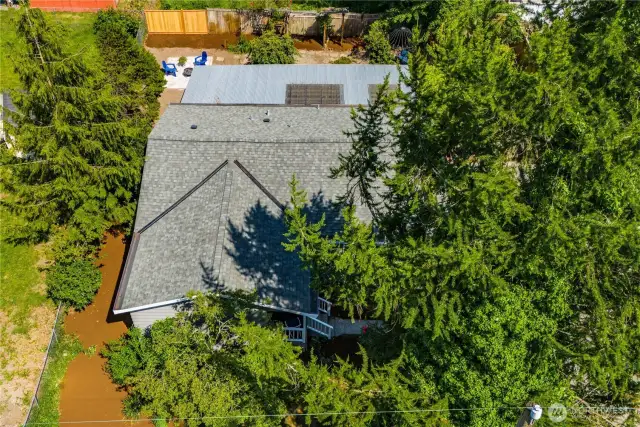 The fir trees provide welcome shade and greenery.